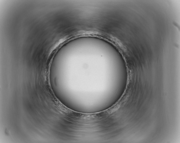 X0000099321165200805020747