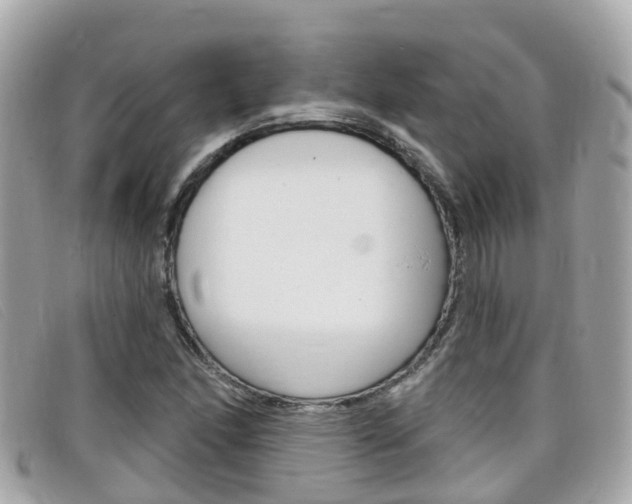 X0000099321166200805020747
