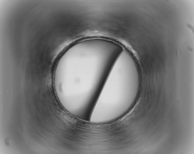 X0000099321167200805020747