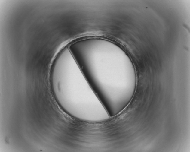 X0000099321168200805020747