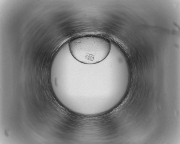 X0000099321169200805020747