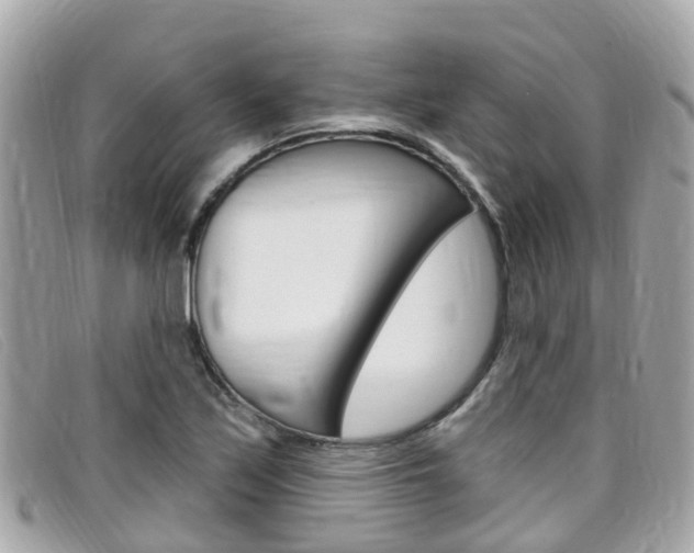 X0000099321171200805020747