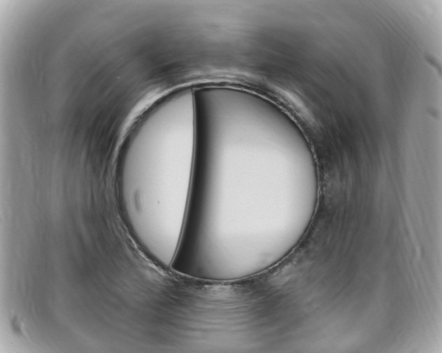X0000099321172200805020747