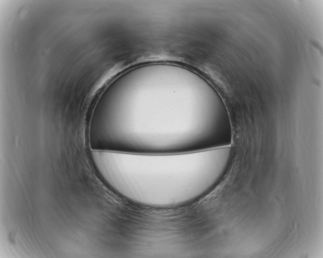 X0000099321173200805020747