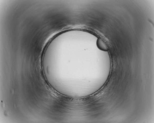 X0000099321174200805020747