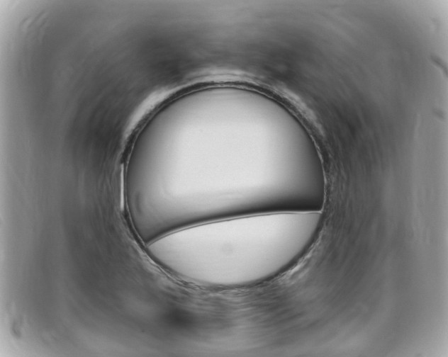 X0000099321175200805020747