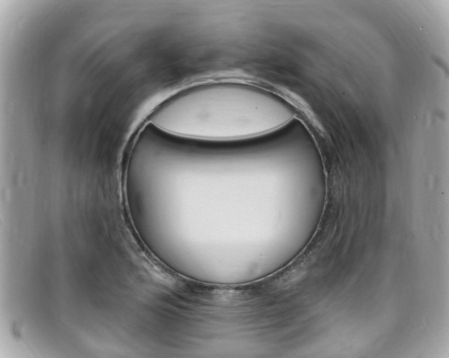 X0000099321176200805020747
