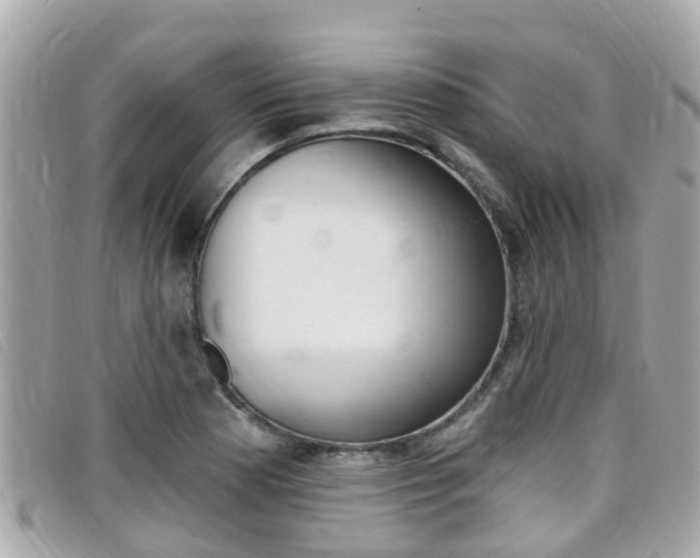 X0000099321177200805020747