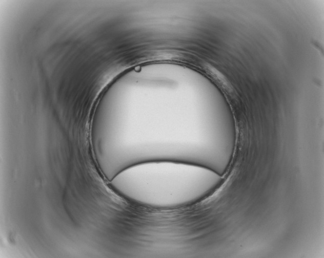 X0000099321178200805020747