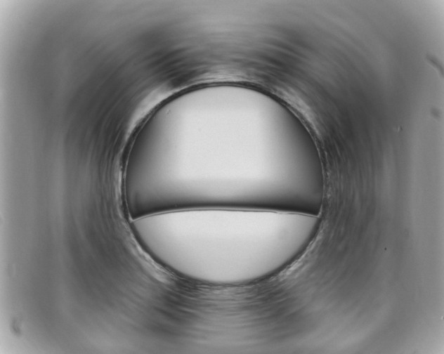 X0000099321179200805020747