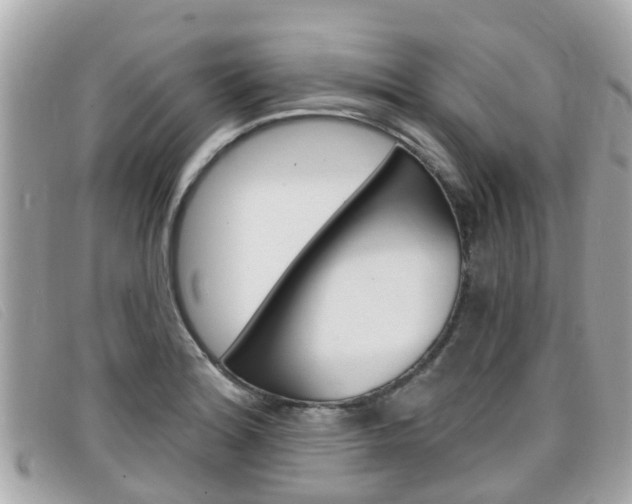 X0000099321180200805020747