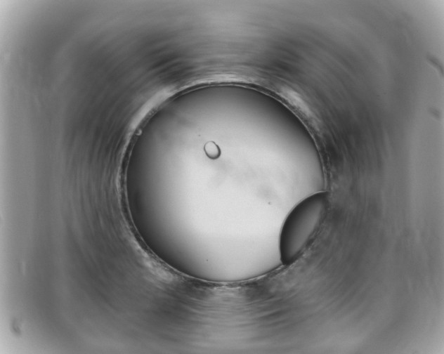 X0000099321181200805020747