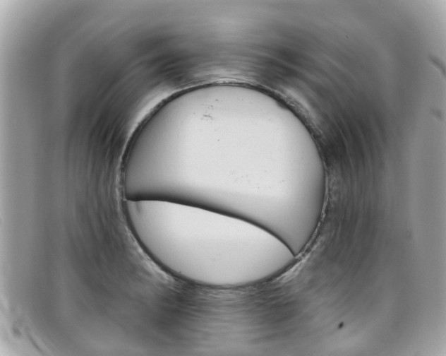 X0000099321182200805020747