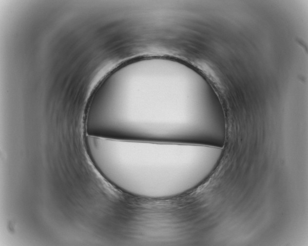 X0000099321183200805020747