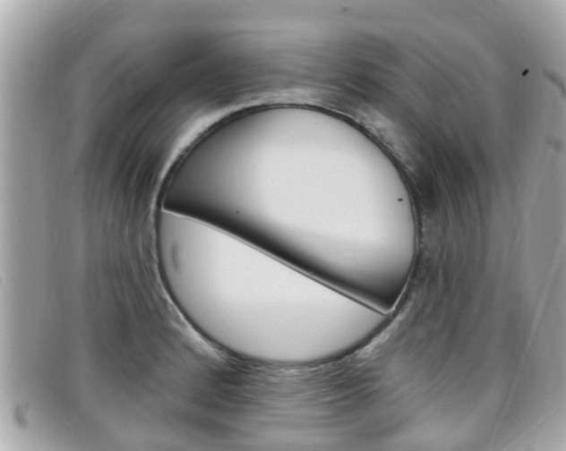 X0000099321184200805020747