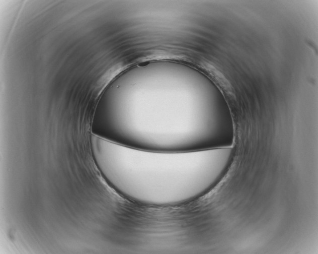 X0000099321185200805020747