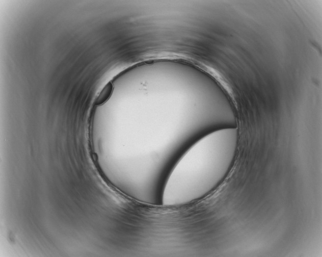 X0000099321187200805020747