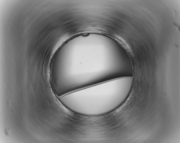 X0000099321188200805020747