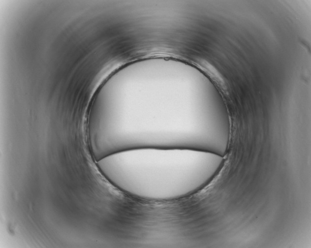X0000099321190200805020746