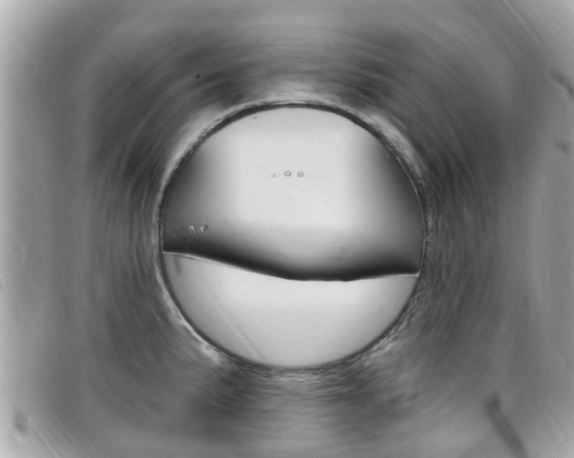 X0000099321191200805020746