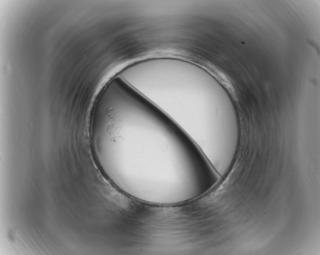 X0000099321192200805020746