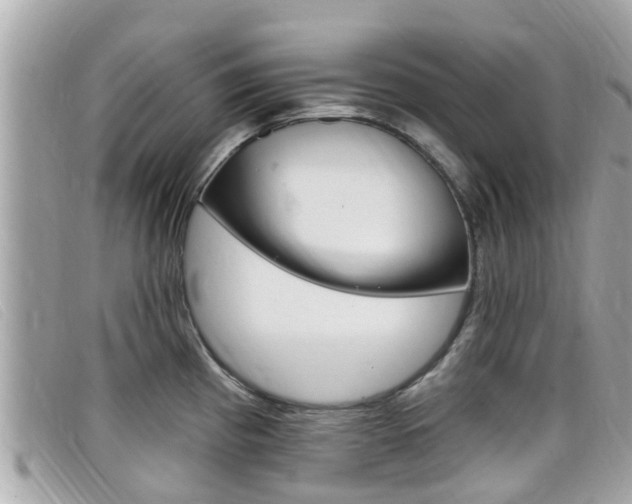 X0000099321193200805020746