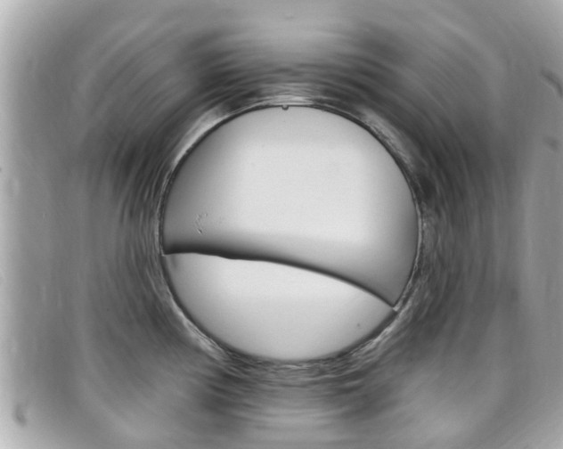 X0000099321194200805020746