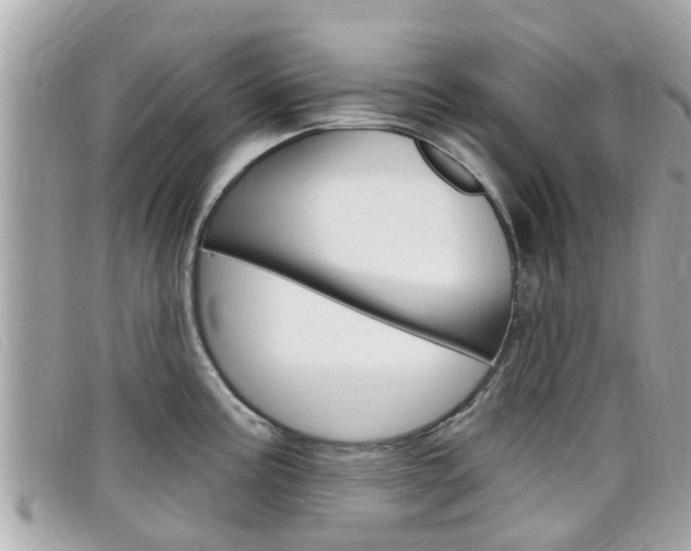 X0000099321195200805020746
