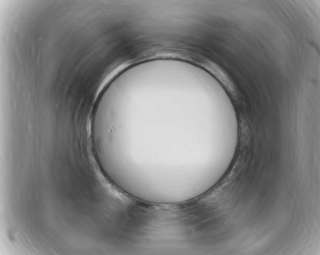 X0000099321198200805020746