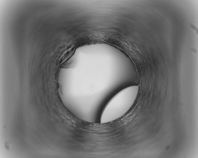 X0000099321201200805020746