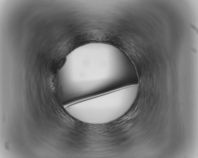 X0000099321202200805020746