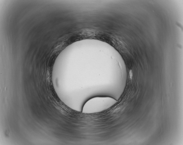 X0000099321203200805020746