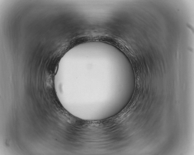 X0000099321204200805020746