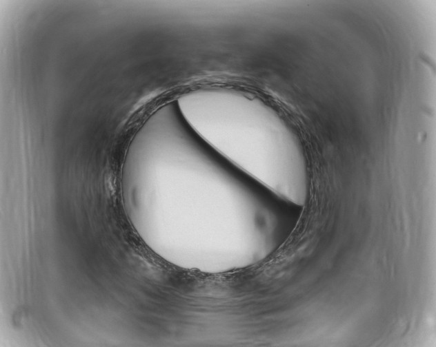 X0000099321206200805020746