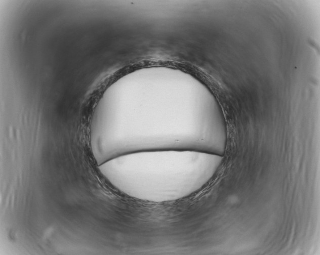 X0000099321207200805020746