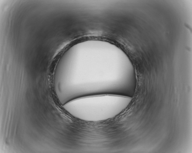 X0000099321208200805020746