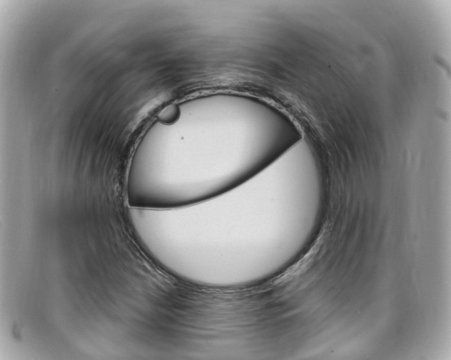 X0000099321210200805020746