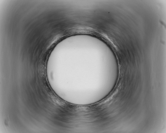 X0000099321211200805020746