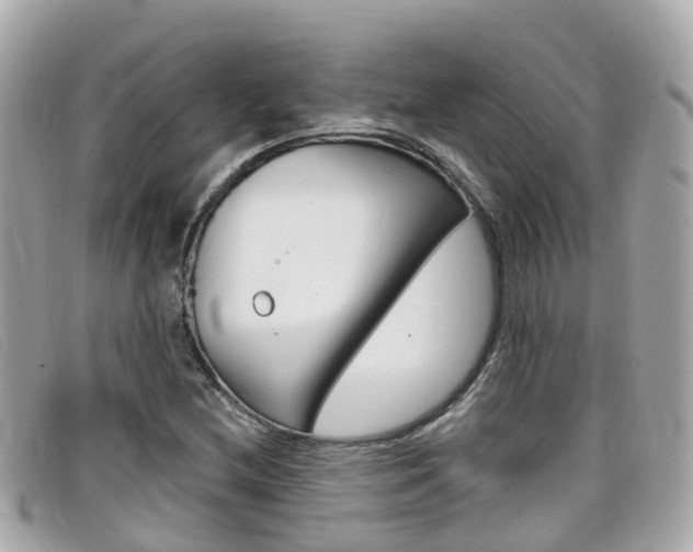 X0000099321212200805020746