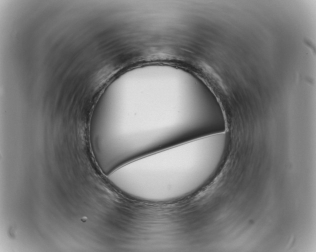 X0000099321217200805020746