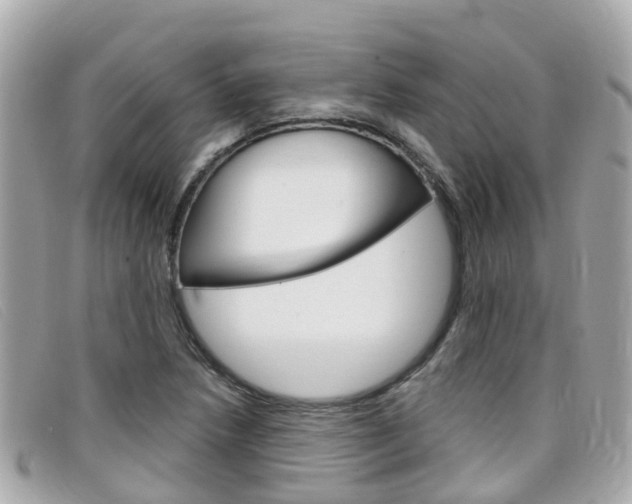 X0000099321218200805020746
