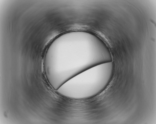 X0000099321219200805020746