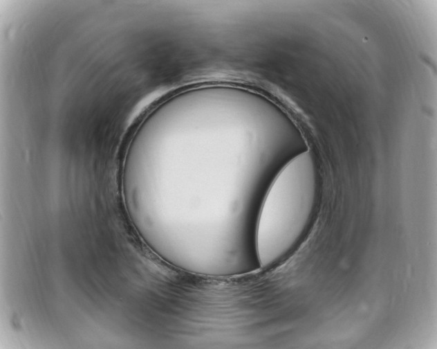 X0000099321222200805020746
