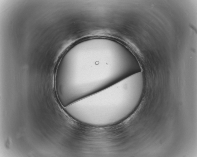 X0000099321224200805020746