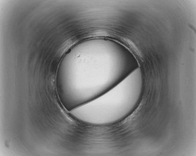 X0000099321225200805020746