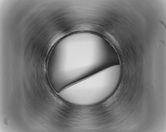 X0000099321226200805020746