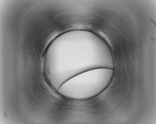 X0000099321227200805020746