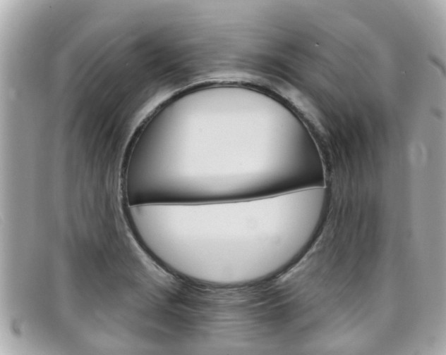 X0000099321229200805020746