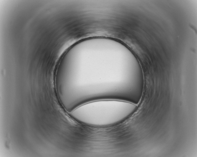 X0000099321230200805020746