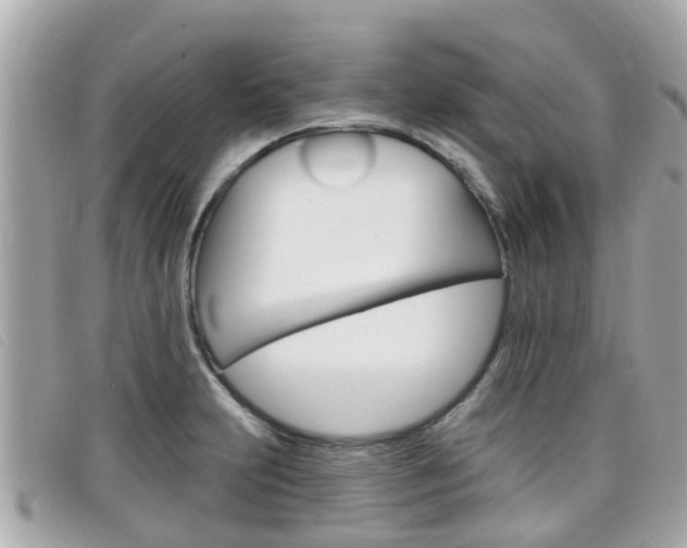 X0000099321231200805020746